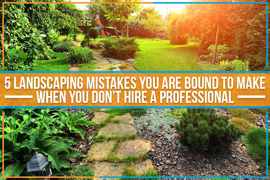 You are currently viewing 5 Landscaping Mistakes You Are Bound To Make When You Don’t Hire A Professional