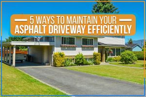 Read more about the article 5 Ways To Maintain Your Asphalt Driveway Efficiently