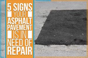 Read more about the article 5 Signs Your Asphalt Pavement Is In Need Of Repair
