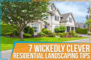 Read more about the article 7 Wickedly Clever Residential Landscaping Tips